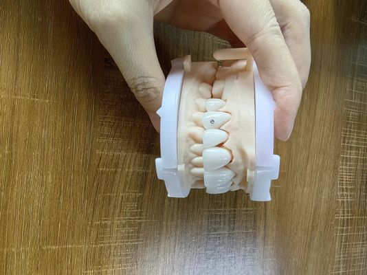 kopen Zeer doorschijnend Zirconia met op maat gemaakte sieraden en goud mooie tandherstel koffer online manufacture