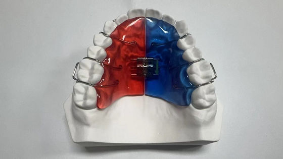 kopen 2.4 Ounce Implant Cases for Dental Sterilization Steam Sterilization online manufacture