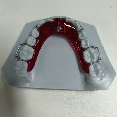 kopen 2.4 Unzen Afneembare prothese-implantatkasten met een hoge duurzaamheid online manufacture